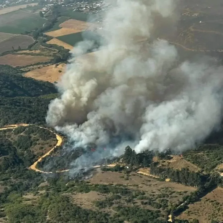 Declaran Alerta Roja para la Comuna de La Estrella por incendio forestal