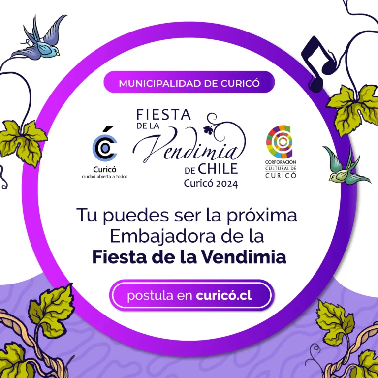 Curicó busca embajadora para la Fiesta de la Vendimia 2024