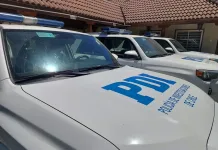PDI - Carro