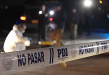 PDI