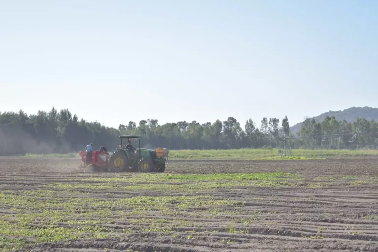 Transformación digital en el campo: Tecnología pionera impulsa la eficiencia agrícola en el Maule Transformación digital en el campo: Tecnología pionera impulsa la eficiencia agrícola en el Maule
