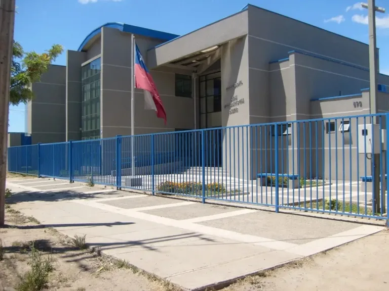 Condenan a sujeto por provocar incendio de pastizales en Pelluhue