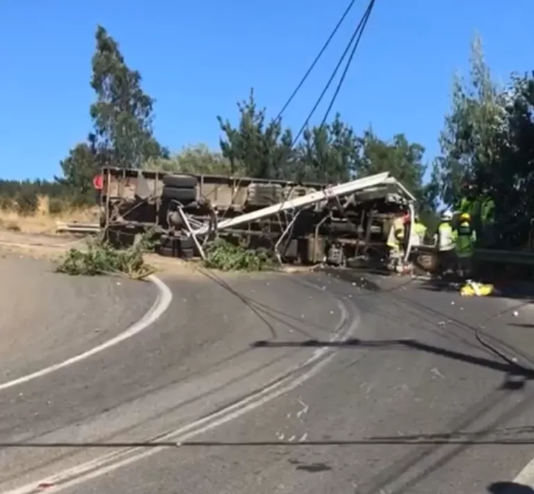 Volcamiento de Camión Provoca Corte de Energía en Zona Costera de Licantén y Vichuquén Volcamiento de Camión Provoca Corte de Energía en Zona Costera de Licantén y Vichuquén
