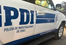 PDI - Carro