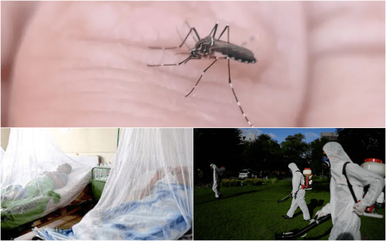 Casos de dengue se multiplican y desbordan los servicios de salud en Argentina