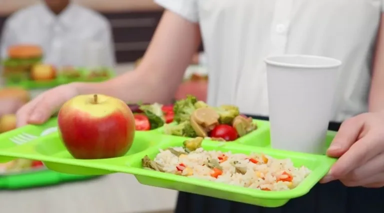 Alimentación escolar bajo la lupa: Diputado Hugo Rey y Parlamentarios se reúnen con manipuladoras por denuncias de baja calidad de alimentos en escuelas del Maule
