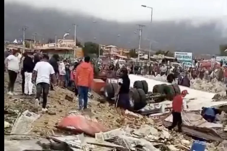 Indignante: Chofer muere en volcamiento de camión en La Higuera y gente llega a robar las paltas