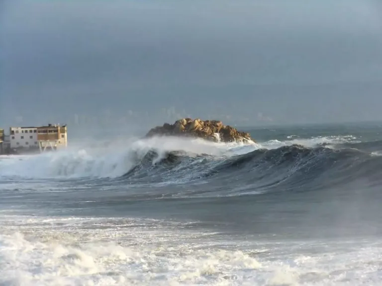 Alerta de Marejadas: Armada de Chile anuncia condiciones adversas en la costa de Chile Alerta de Marejadas: Armada de Chile anuncia condiciones adversas en la costa de Chile
