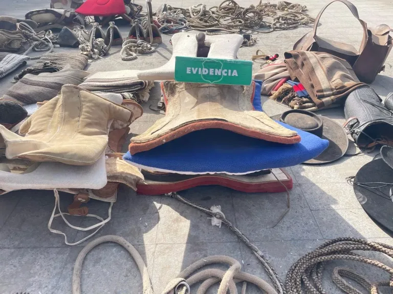 Carabineros de Curicó recupera aperos de rodeo valorados en más de 15 millones de pesos Carabineros de Curicó recupera aperos de rodeo valorados en más de 15 millones de pesos