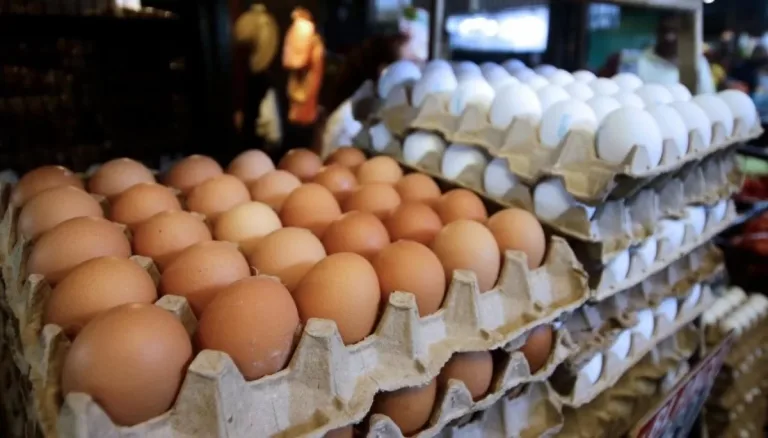 Se dispara el precio del huevo, bandeja supera los 8 mil pesos Se dispara el precio del huevo, bandeja supera los 8 mil pesos
