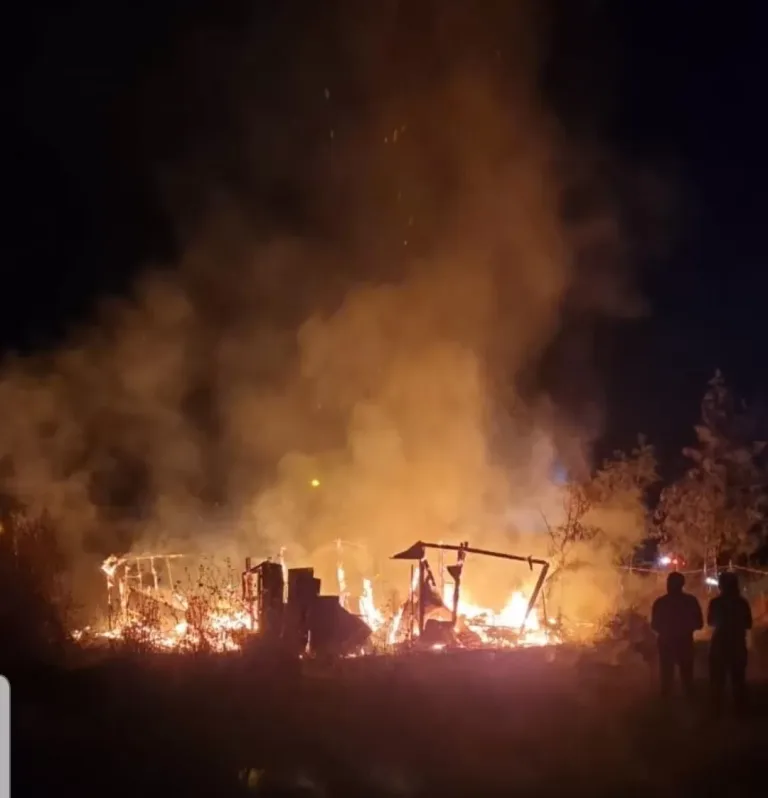 Incendio de proporciones camino a Los Lagartos en Teno movilizo a equipos de emergencia de la comuna