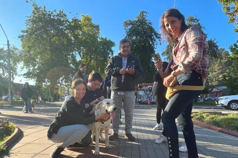 Perritos del antiguo refugio Vista Hermosa encuentran familias en jornada de adopción curicana Perritos del antiguo refugio Vista Hermosa encuentran familias en jornada de adopción curicana