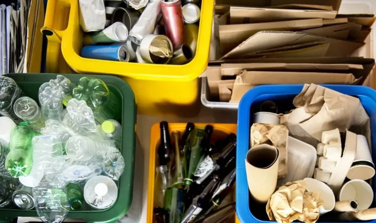Curicó se compromete con el medio ambiente: Inauguran el primer punto para el reciclaje de envases y embalajes Curicó se compromete con el medio ambiente: Inauguran el primer punto para el reciclaje de envases y embalajes
