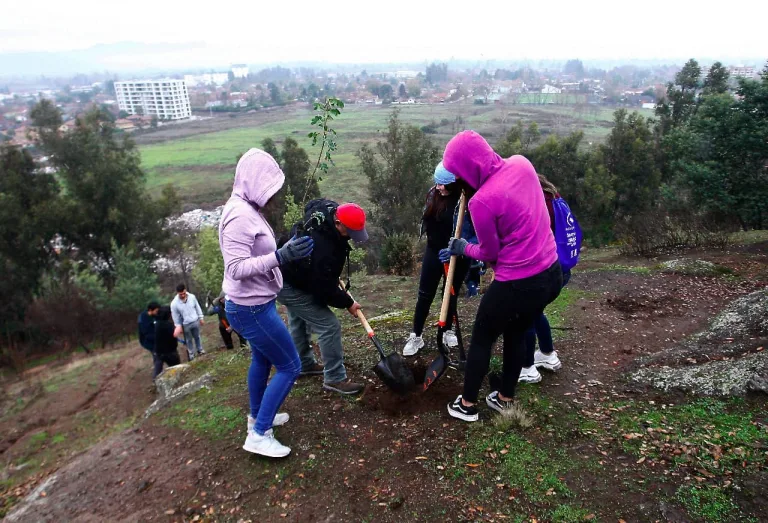 Municipalidad de Curicó gana importante proyecto de forestación para combatir el cambio climático