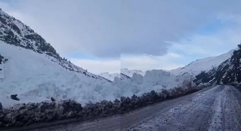 Avalancha se produjo en precordillera de Romeral; expertos ofrecen consejos ante riesgo de avalanchas (Video)