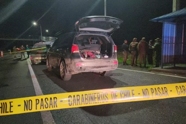Persecución policial terminó con delincuente fallecido en la comuna de Rengo