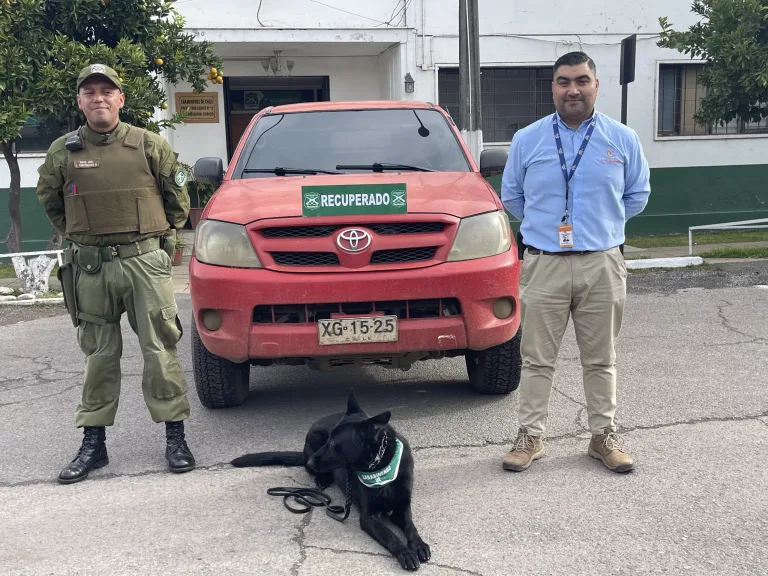 Aplicación de Seguridad Pública de Curicó Permite Recuperar Dos Vehículos con Encargo por Robo Aplicación de Seguridad Pública de Curicó Permite Recuperar Dos Vehículos con Encargo por Robo