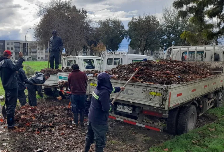 Municipio de Curicó refuerza medidas de contingencia ante pronóstico de nuevos sistemas frontales Municipio de Curicó refuerza medidas de contingencia ante pronóstico de nuevos sistemas frontales