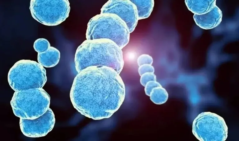 Alerta de salud por aumento de casos graves de Influenza complicados con infecciones por la bacteria asesina