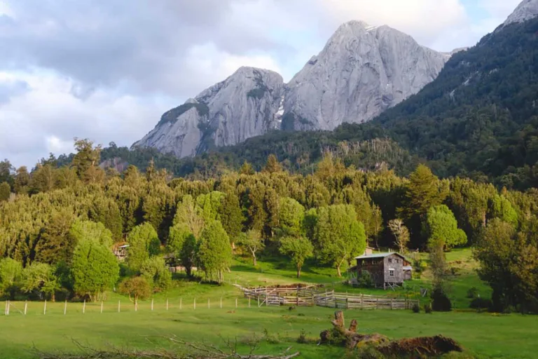 Campaña «Conserva Puchegüín» busca reunir 78 millones de dólares para salvaguardar 131 mil hectáreas de tierras vírgenes chilenas