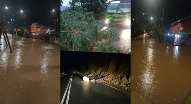 Rodados, caída de ramas y calles inundadas son parte de las emergencias reportadas esta mañana en la provincia de Curicó