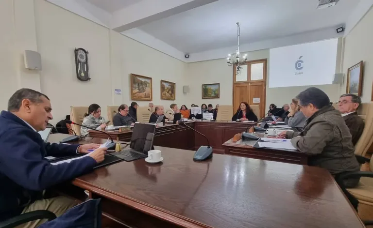 El Concejo Municipal de Curicó aprobó recursos para contratar monitores y monitoras en la Oficina de la Mujer