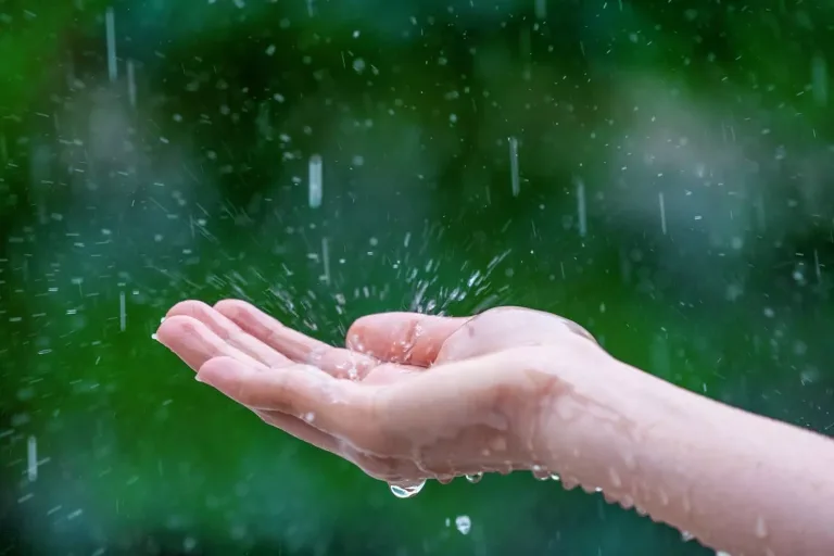 Lluvias que afectan el sur del país llegarán a la región del Maule en horas de la tarde de este lunes Lluvias que afectan el sur del país llegarán a la región del Maule en horas de la tarde de este lunes