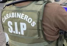 SIP de Carabineros incauta alcohol y cigarrillos tras denuncia por venta clandestina en Licantén sip-carabineros
