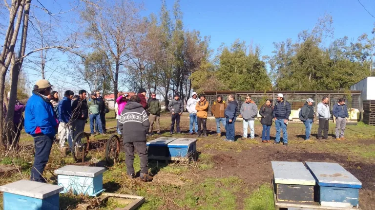 Apicultores de Curicó fortalecen sus conocimientos en gira técnica organizada por la Municipalidad