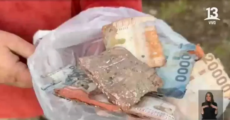 Familia curicana que mantenía la tradición de guardar dinero bajo tierra enfrenta un alto riesgo de perder casi tres millones de pesos
