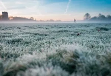 Pronostican heladas de hasta -4°C para este domingo 29 entre las regiones de O’Higgins y Biobío Beautiful scenery of a grassy field during sunset with a foggy background