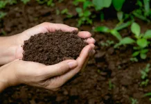 San Fernando será sede del 74° Congreso Agronómico de Chile huano-agricula