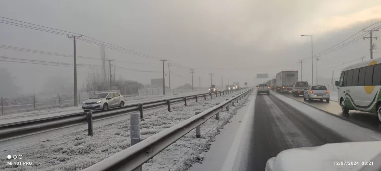«Cencellada», fenómeno climático provocado por la ola de frío extremo en las regiones del Maule y O’Higgins