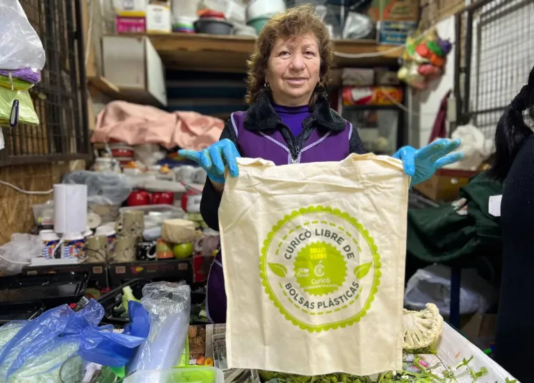 Curicó refuerza su compromiso ambiental con una campaña educativa sobre la Ley «Chao Bolsas Plásticas»