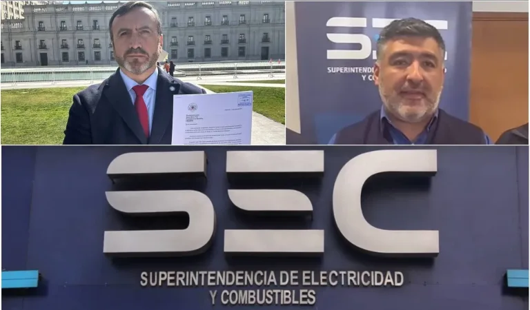 Diputado Pulgar Pide la destitución del Director de la SEC Maule por posibles conflictos de Interés con empresas eléctricas