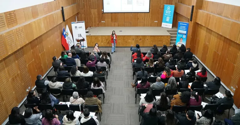 El CRDP Maule y el Gobierno Regional promueven la transformación digital de negocios locales El CRDP Maule y el Gobierno Regional promueven la transformación digital de negocios locales
