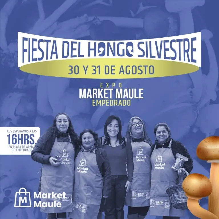 Empedrado terminará agosto con su tradicional Fiesta del Hongo Silvestre, ofreciendo gastronomía, música y un concurso de cocina