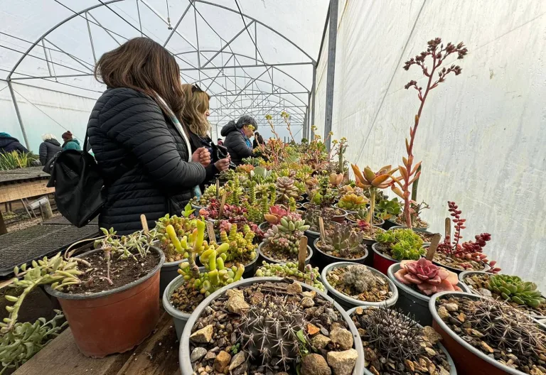 Mesa de la Mujer Rural visita la Granja Educativa Agroecológica Municipal en Curicó