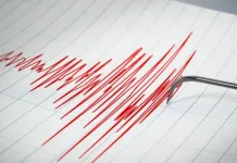 Fuerte terremoto de magnitud 8,7 en Rusia obliga a evaluar posible amenaza de tsunami para Chile sismografo