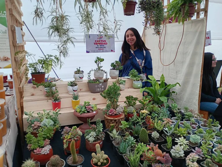 El “Mercado Campesino” de Indap brilla en la Fiesta de la Chilenidad en Curicó