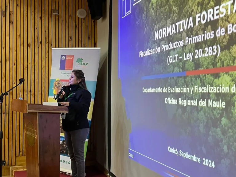 Dictan charla educativa sobre uso eficiente de leña seca y plan de descontaminación ambiental en Curicó