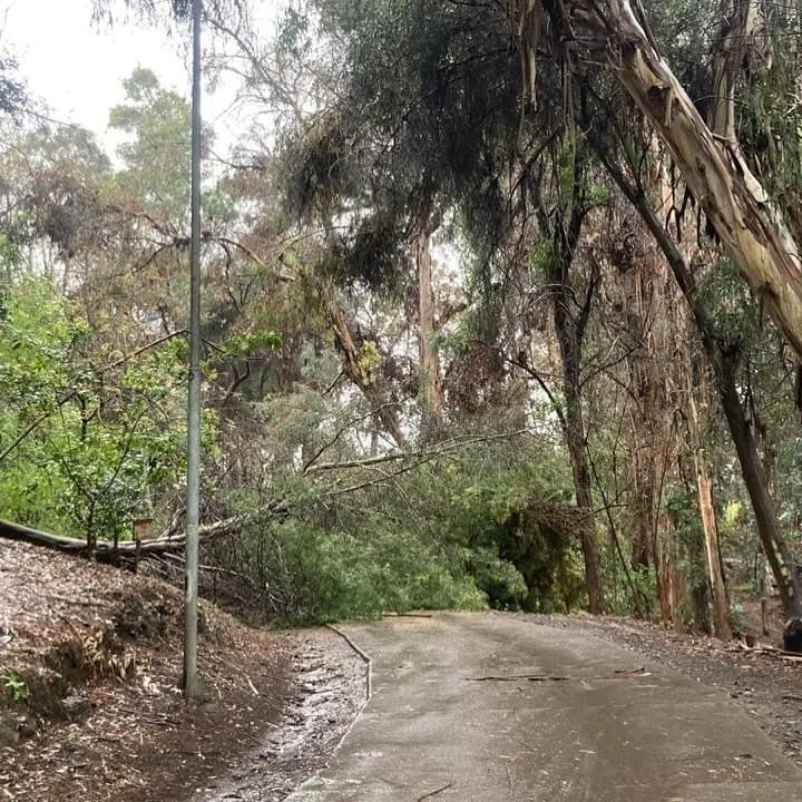 Lluvia y viento provocaron cancelación del tradicional paseo al Cerro Condell de Curicó