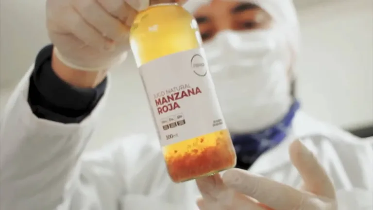 CRDP Maule destaca a Innova Green Alimentos: Líder en innovación biotecnológica en la Región CRDP Maule destaca a Innova Green Alimentos: Líder en innovación biotecnológica en la Región