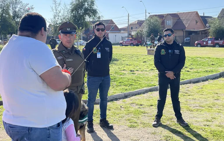 Intensifican las fiscalizaciones en Don Sebastián de Rauquén, Curicó, para prevenir el uso de ‘hilo curado’ Intensifican las fiscalizaciones en Don Sebastián de Rauquén, Curicó, para prevenir el uso de ‘hilo curado’