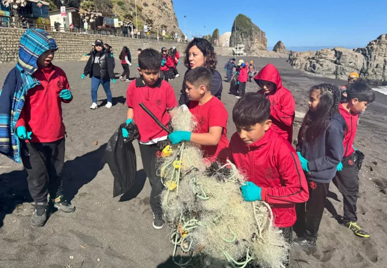 Más de 500 kilos de residuos recolectados en la jornada de limpieza de playas y costas de Constitución