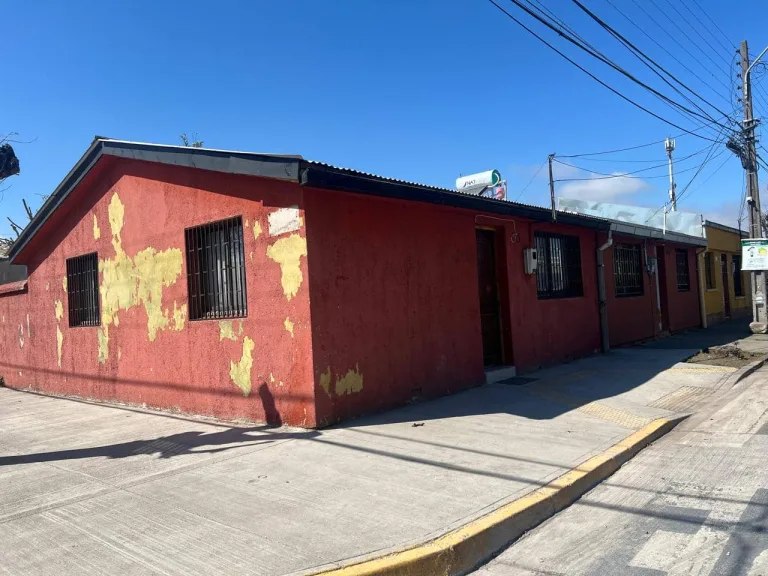 Curicó implementará proyecto innovador para eliminar termitas en la Población Luis Cruz Martínez