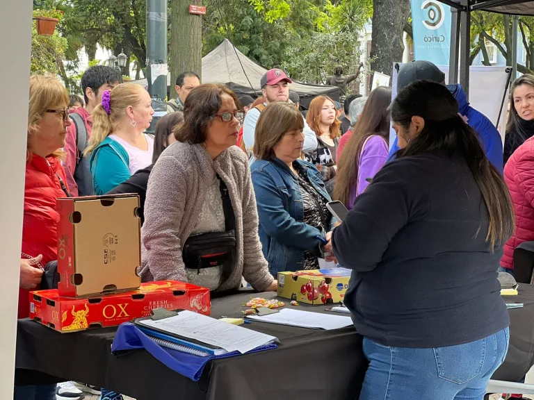 Más de 8 mil ofertas de trabajo y 254 cupos inclusivos ofreció feria laboral en Curicó Más de 8 mil ofertas de trabajo y 254 cupos inclusivos ofreció feria laboral en Curicó