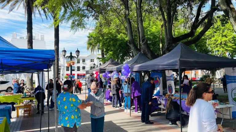Curicó celebró el día de la alimentación saludable Curicó celebró el día de la alimentación saludable