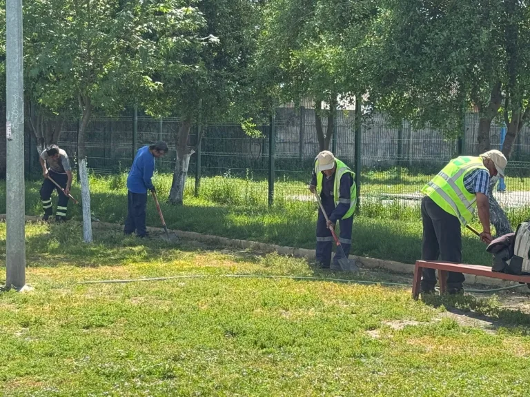 Refuerzan cuadrillas municipales para enfrentar el crecimiento de vegetación en áreas verdes de Curicó Refuerzan cuadrillas municipales para enfrentar el crecimiento de vegetación en áreas verdes de Curicó