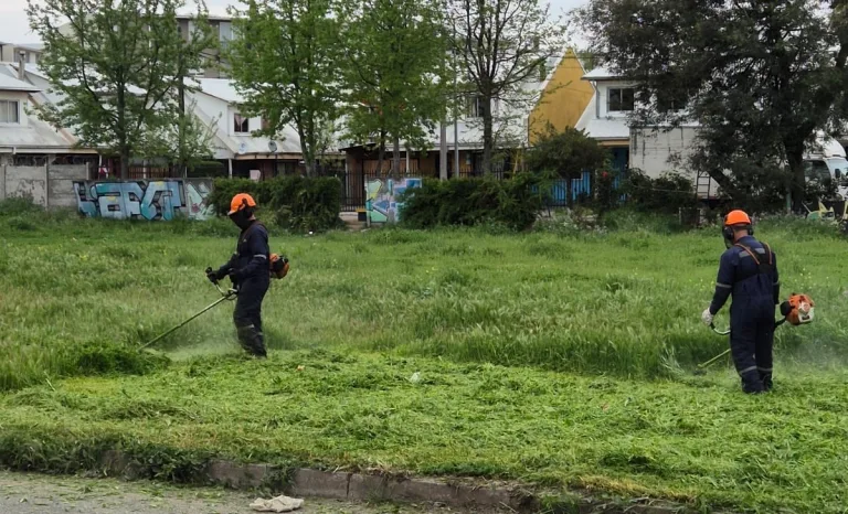 Municipalidad de Curicó inicia trabajos preventivos para evitar incendios durante el verano Municipalidad de Curicó inicia trabajos preventivos para evitar incendios durante el verano